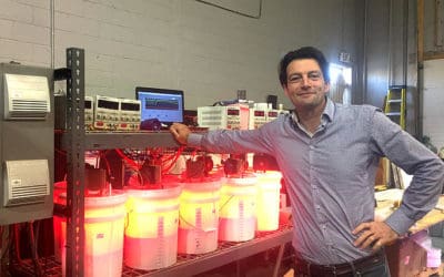 Episode 010 | Peter Howard: Smart Carbon Policy and Technology