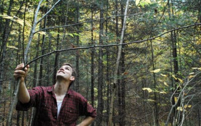 Episode 009 | Dale Prest: Sustainable Forest Management and the Fight for a Stable Climate